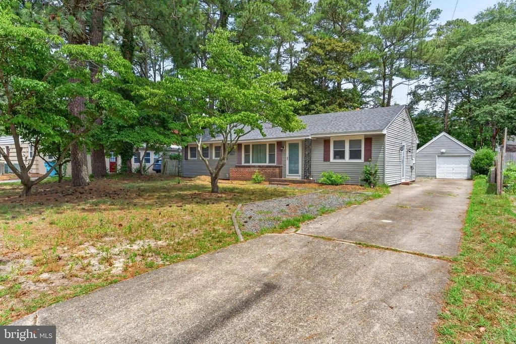 Photo of 509 LOBLOLLY LANE