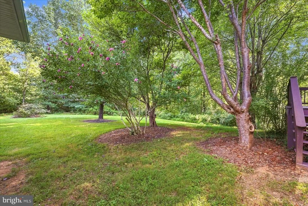 Photo of 13240 WINDMILL WAY