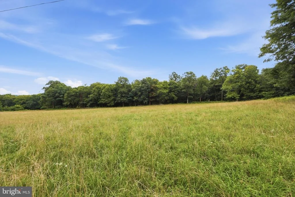 Photo of 14417 RIDENOUR ROAD