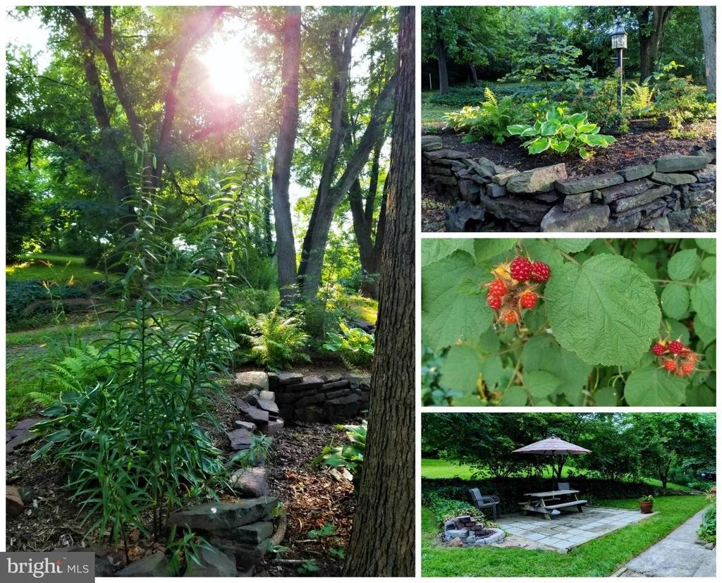 Photo of 1231 BRUCEVILLE ROAD