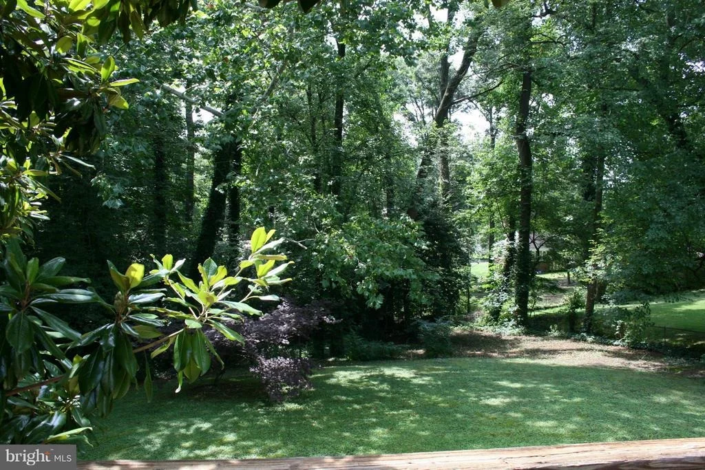 Photo of 10911 BORNEDALE DRIVE