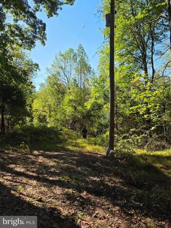 Photo of 3816 JIM SMITH LANE