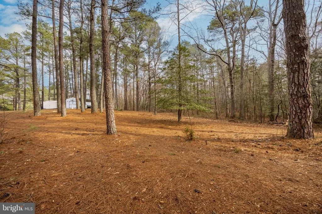 Photo of 22139 ROYAL OAK ROAD