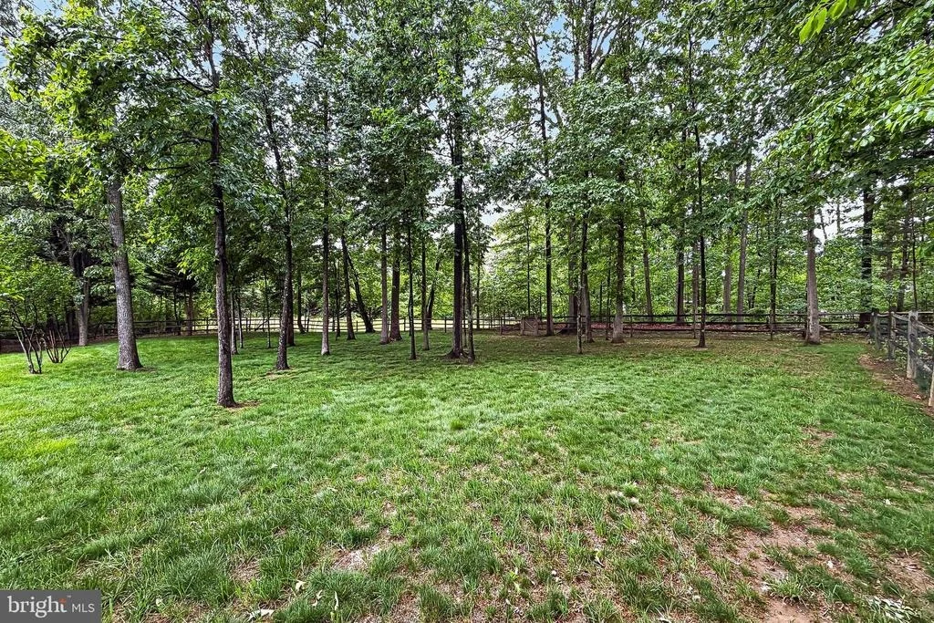 Photo of 25825 SPRING FARM CIRCLE