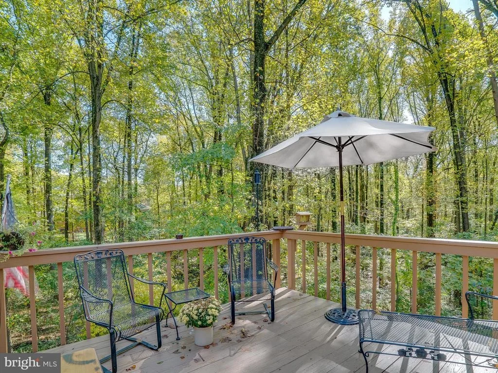 Photo of 17509 SKYLINE DRIVE