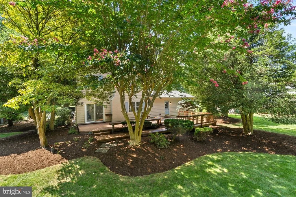 Photo of 3241 BETSY LANE
