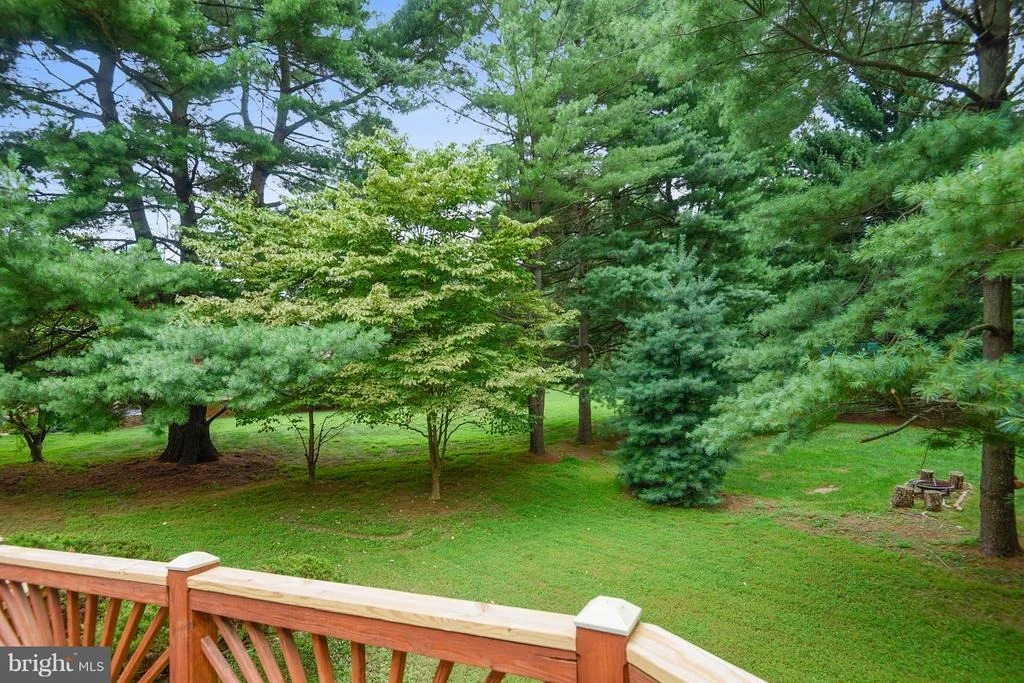 Photo of 15516 NORMAN DRIVE