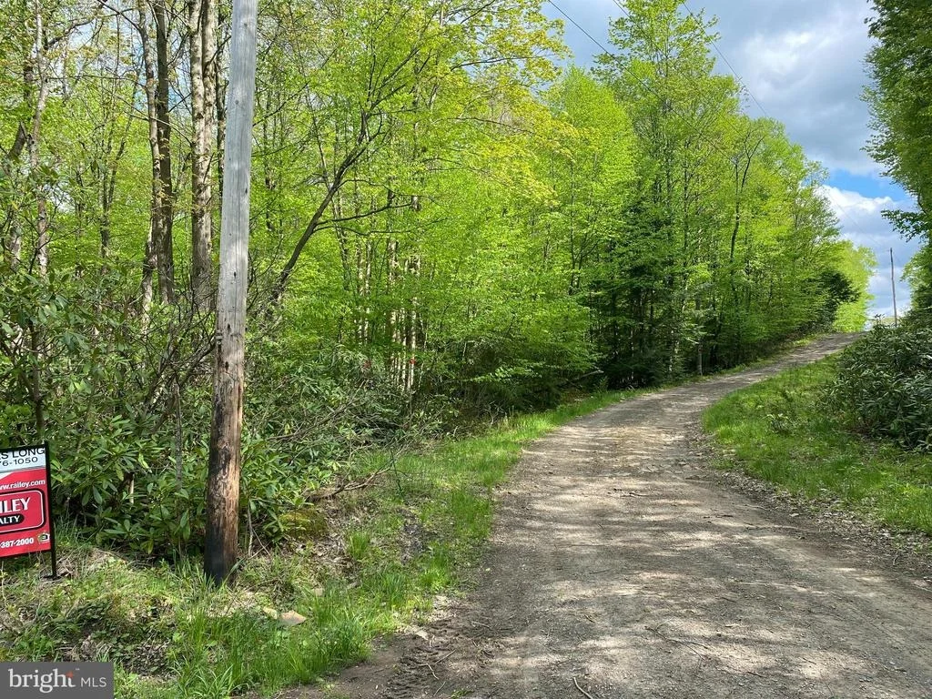 Photo of Lot 3 DEER RUN ROAD