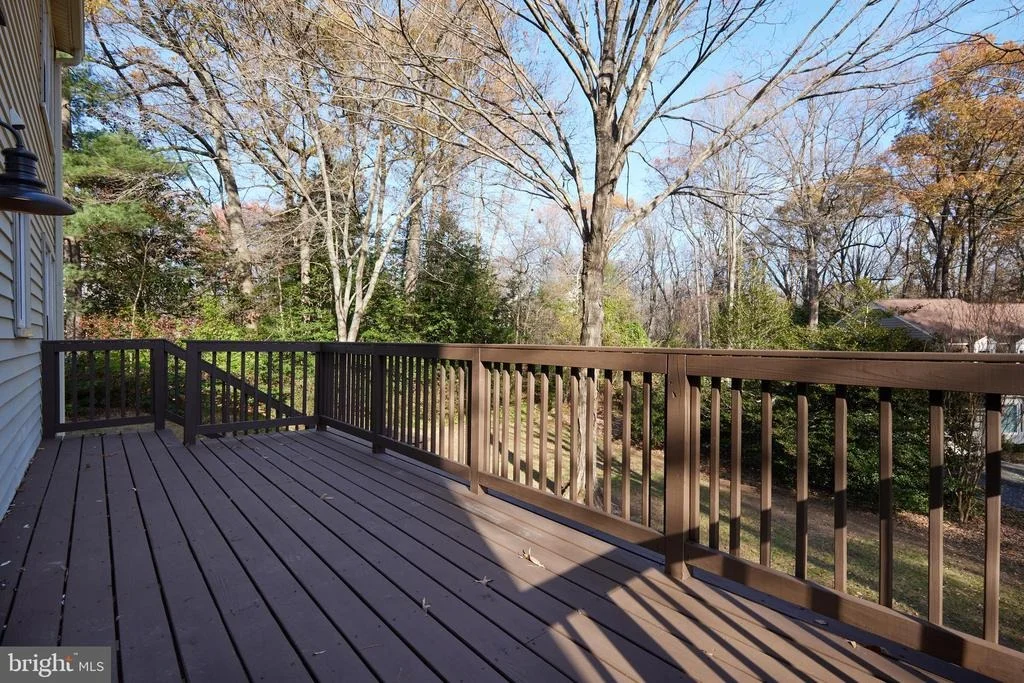 Photo of 11802 GREY BIRCH PLACE