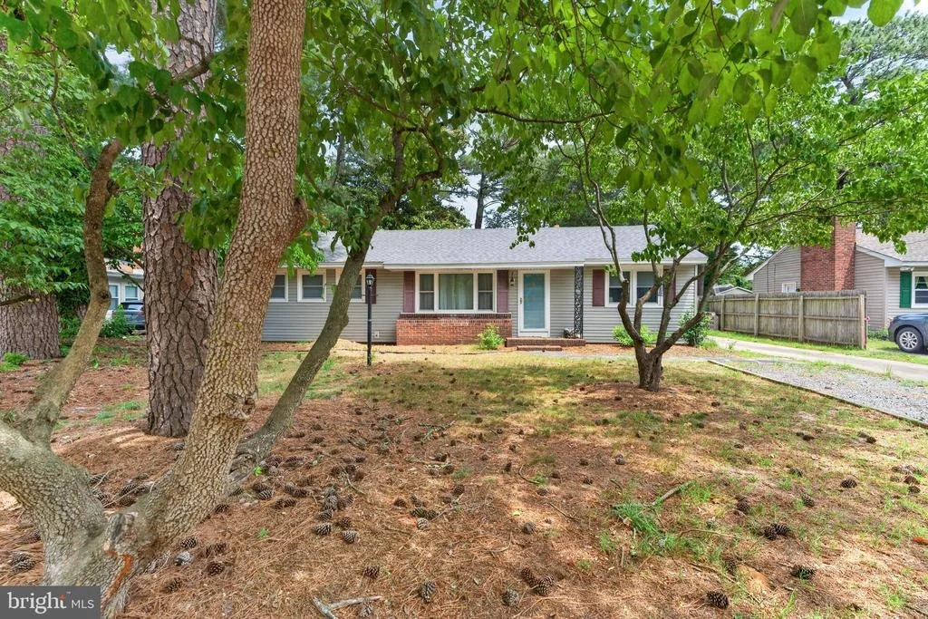 Photo of 509 LOBLOLLY LANE