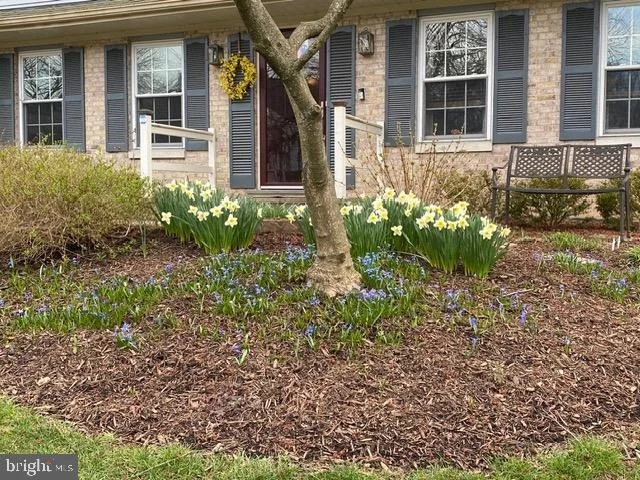 Photo of 7232 GRINNELL DRIVE