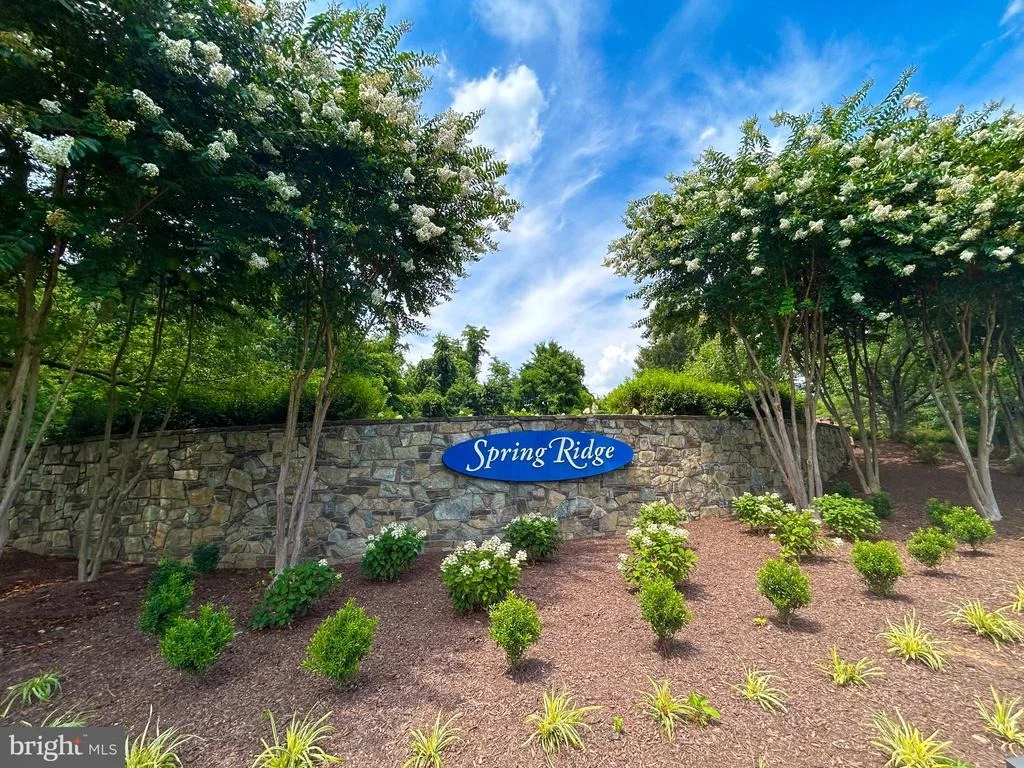 Photo of 6442 SPRING FOREST ROAD