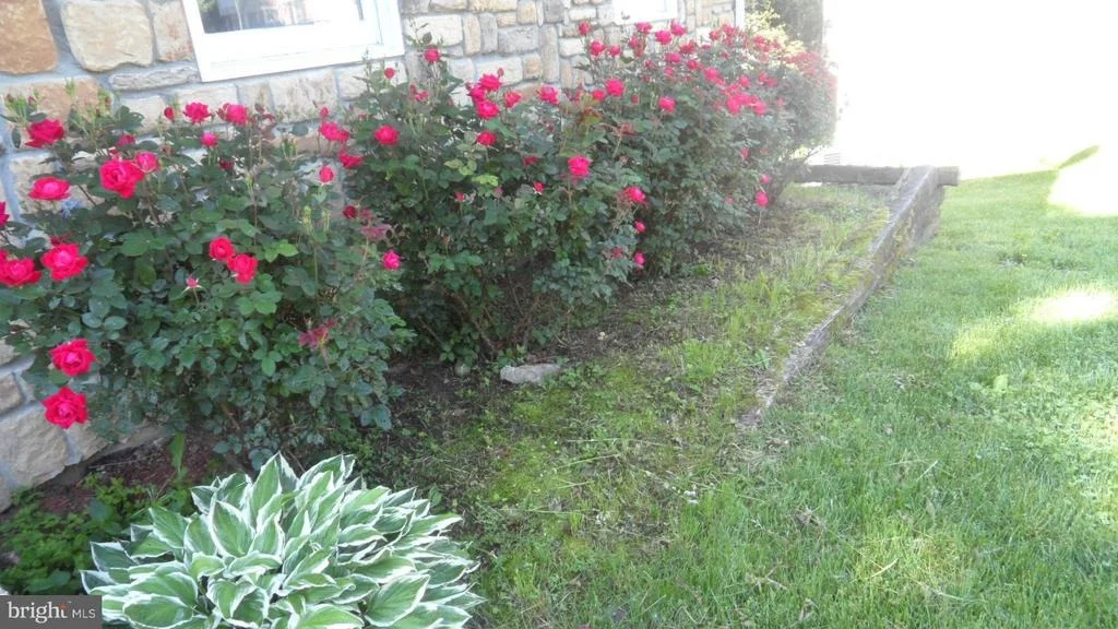 Photo of 202 WINTERGREEN LANE