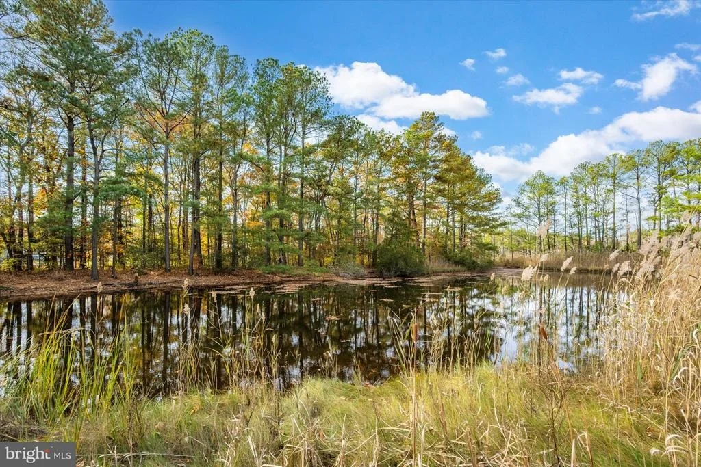 Photo of 101 MUMFORDS LANDING ROAD