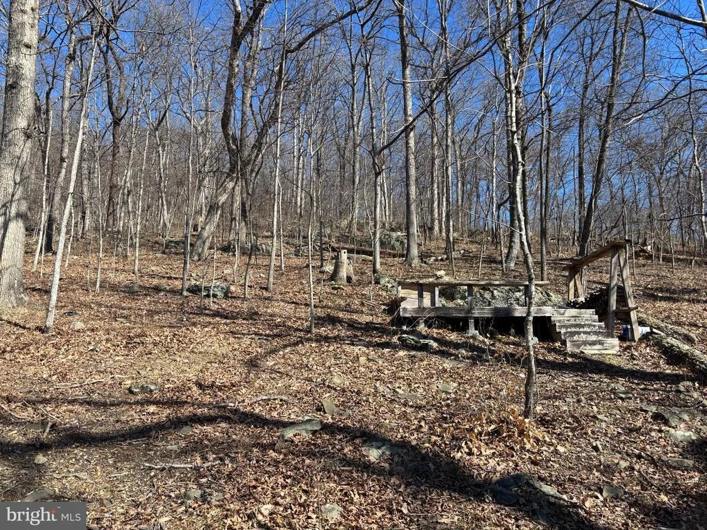 Photo of CARTERS RUN