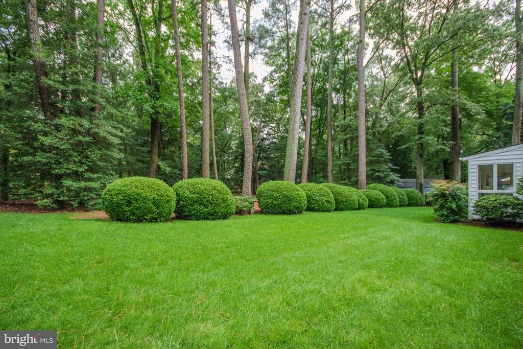 Photo of 29745 JACKSON ROAD