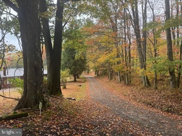 Photo of 11692 ADOLPH ROAD
