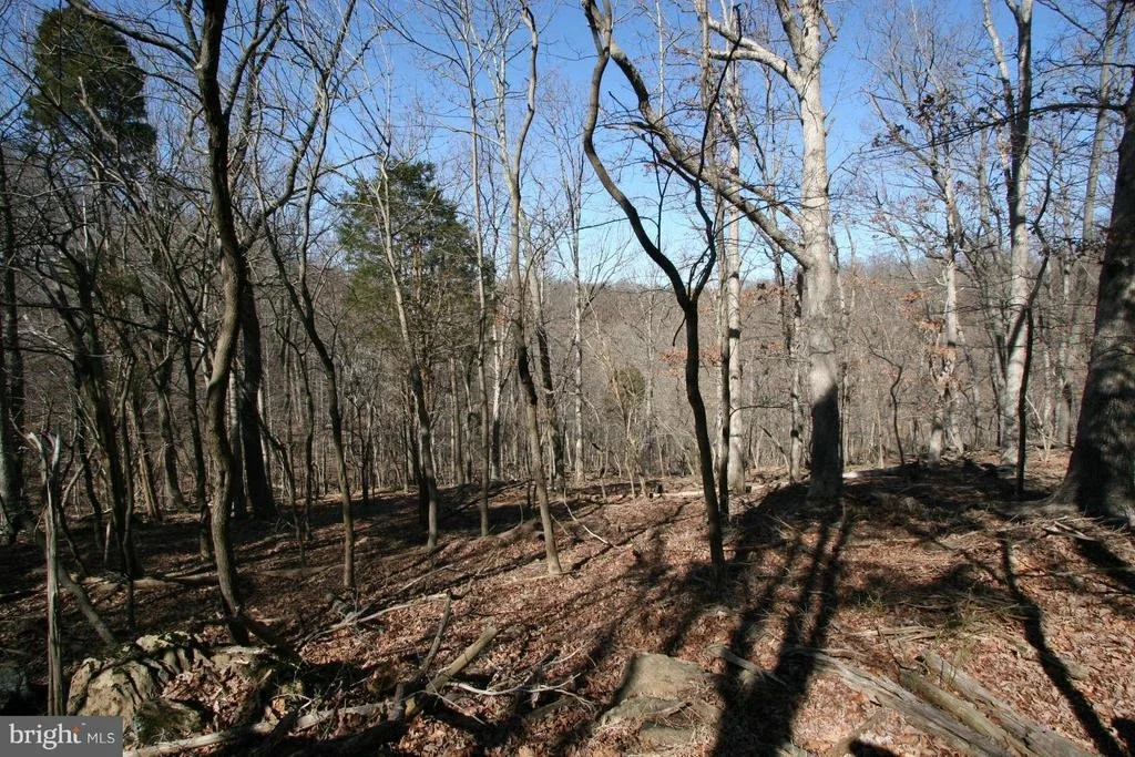 Photo of 7828 MAIN FALLS CIRCLE