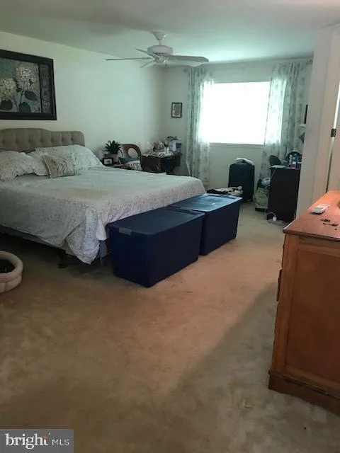 Photo of 17528 COLLIER CIRCLE