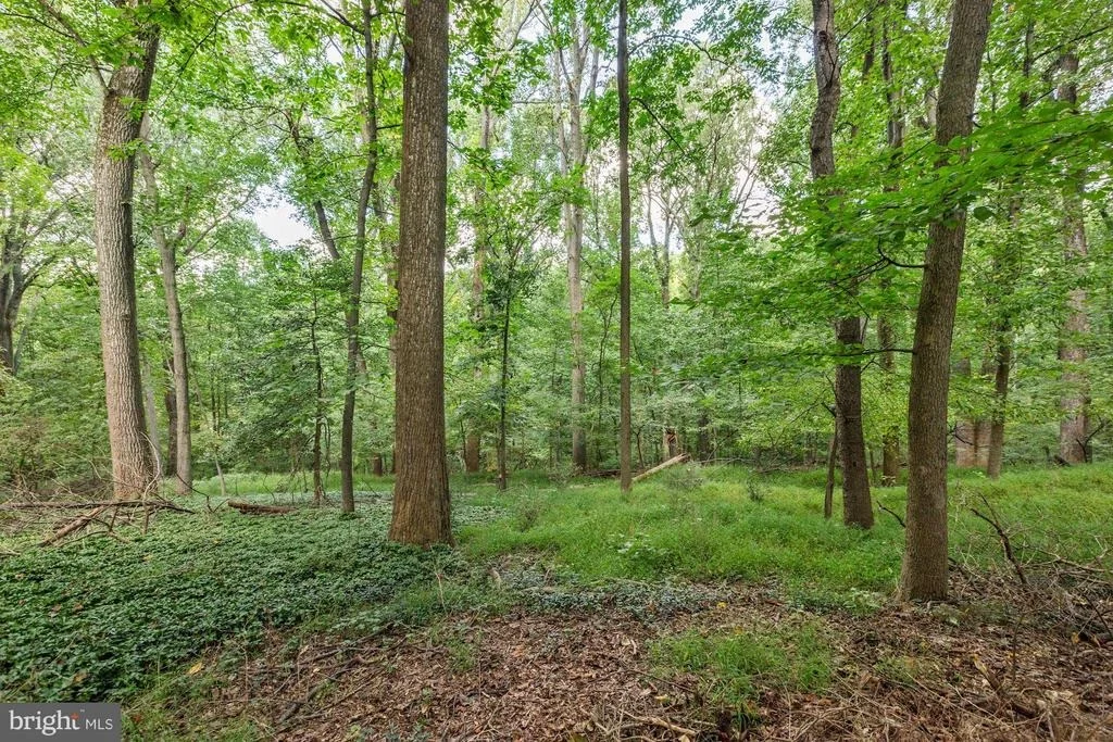 Photo of 100 QUAINT ACRES DRIVE