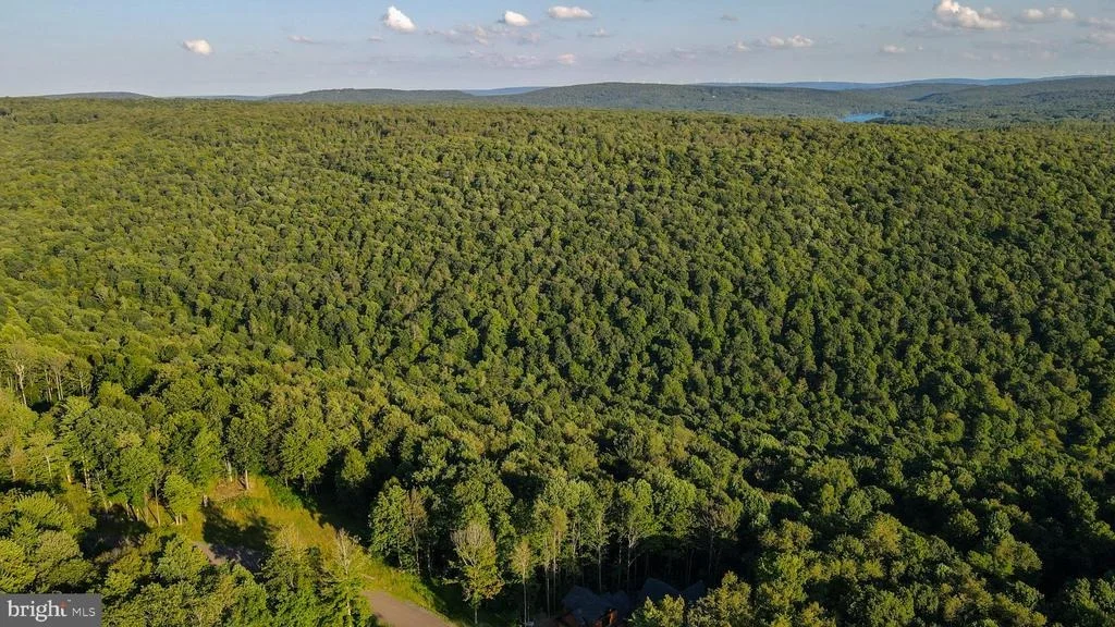 Photo of Lot 168 FORK RUN TRAIL