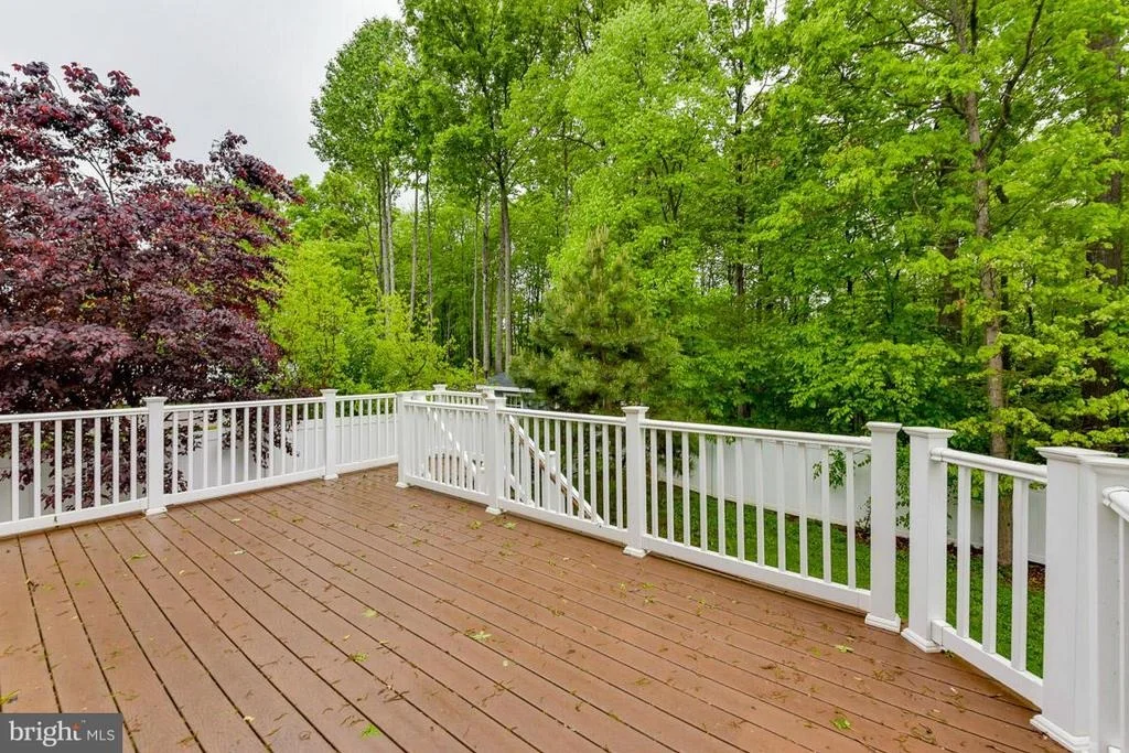 Photo of 12064 PAPER BIRCH LANE