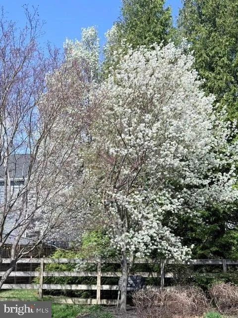 Photo of 5200 SCENIC DRIVE