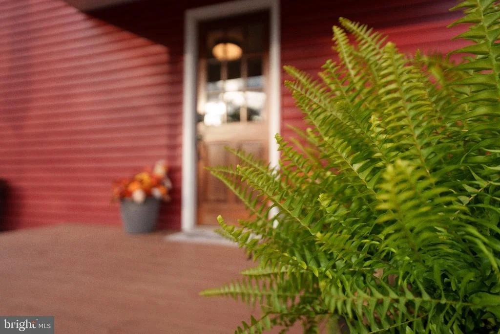 Photo of 1098 REYNOLDS ROAD