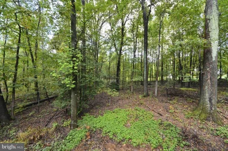 Photo of 12306 FOLKSTONE DRIVE