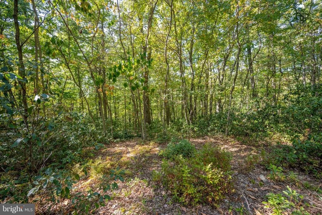 Photo of LOT 9 NORMAS WAY