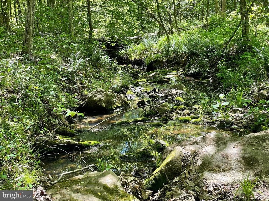 Photo of 1225 MIDDLE RIVER ROAD
