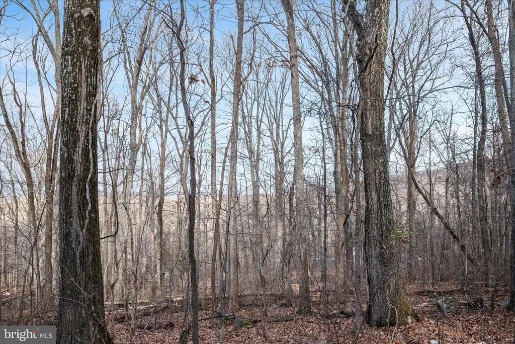 Photo of Lots 115, 116, 210 RED MAPLE LANE
