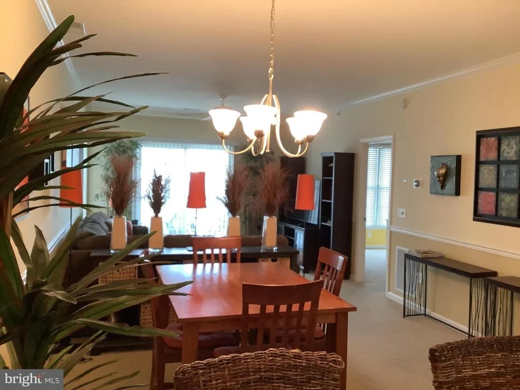 Photo of Unit 4202 at 20007 SANDY BOTTOM CIRCLE