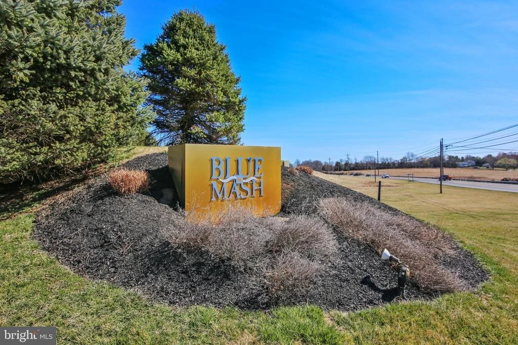 Photo of 8206 BONDAGE DRIVE