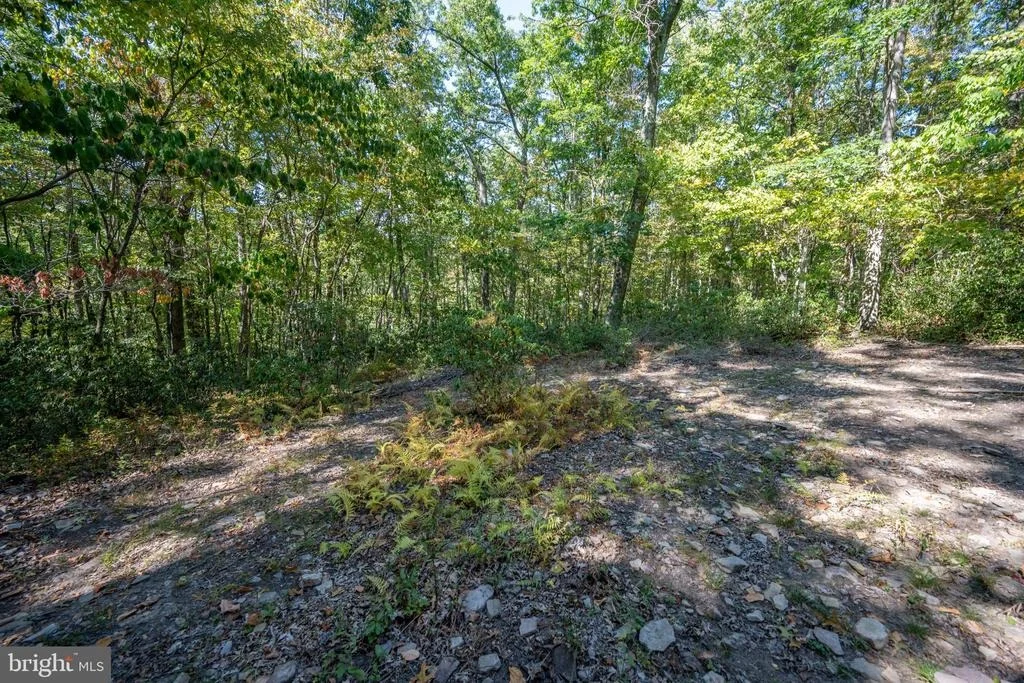 Photo of LOT 9 NORMAS WAY