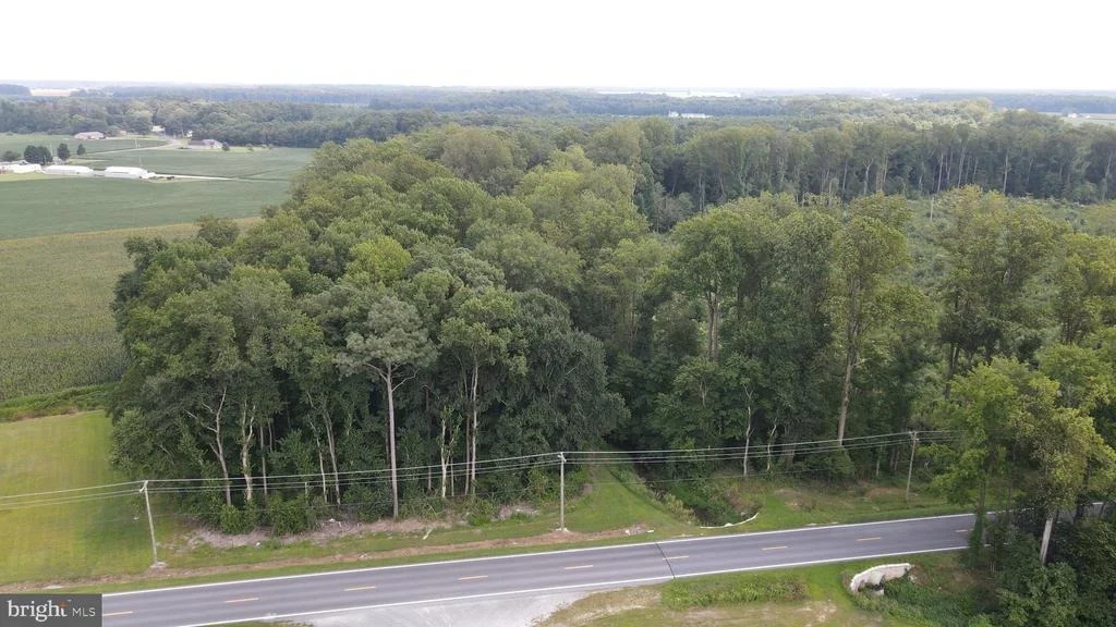 Photo of 18.271 ac., Tract 5 SHORTLY RD.