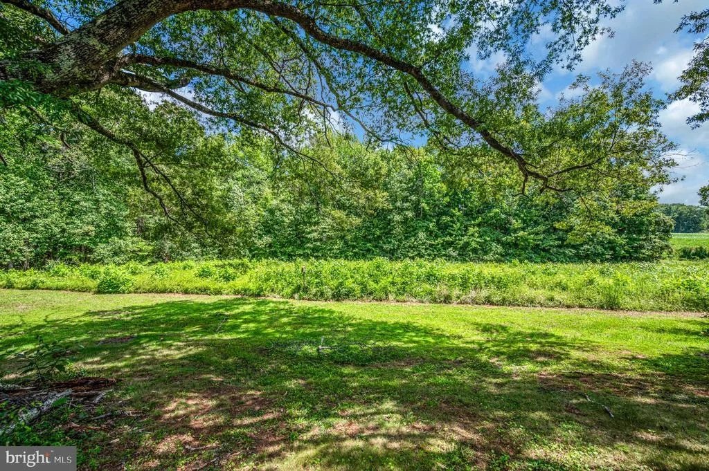 Photo of 3401 SHIRLEYS HILL ROAD