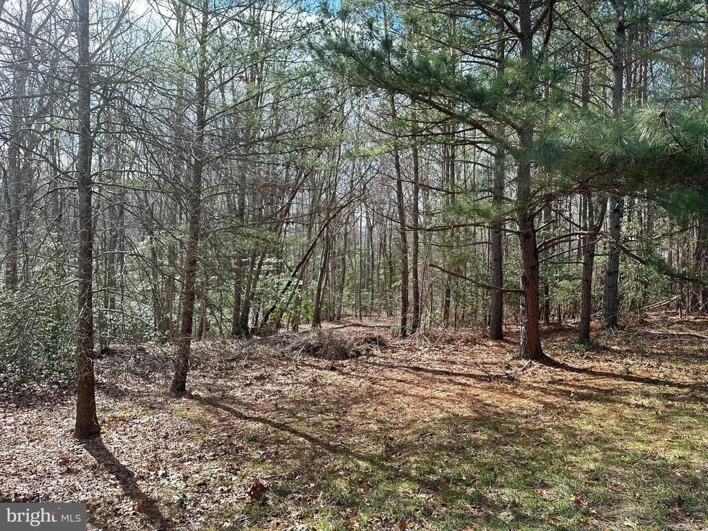 Photo of 12921 PINE LANE