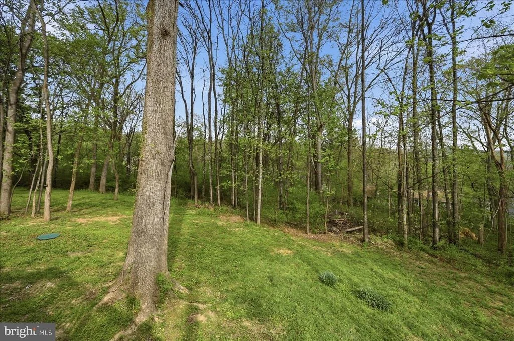 Photo of 105 BUCKSKIN TRAIL