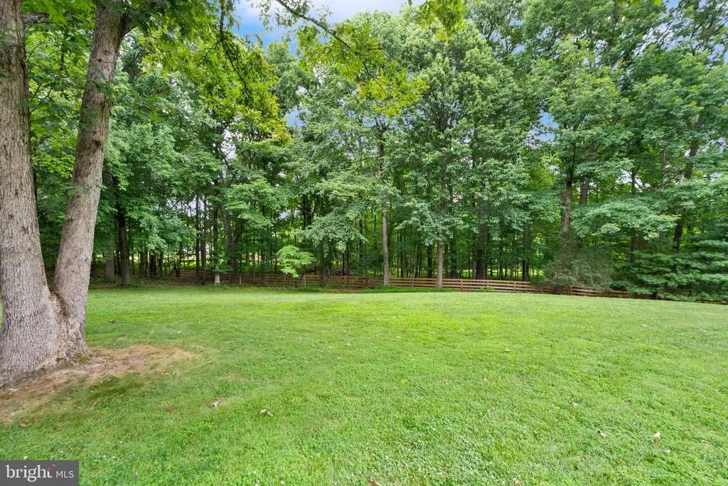 Photo of 4554 CANTER LANE