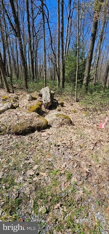 Photo of 6 CEDAR LANE