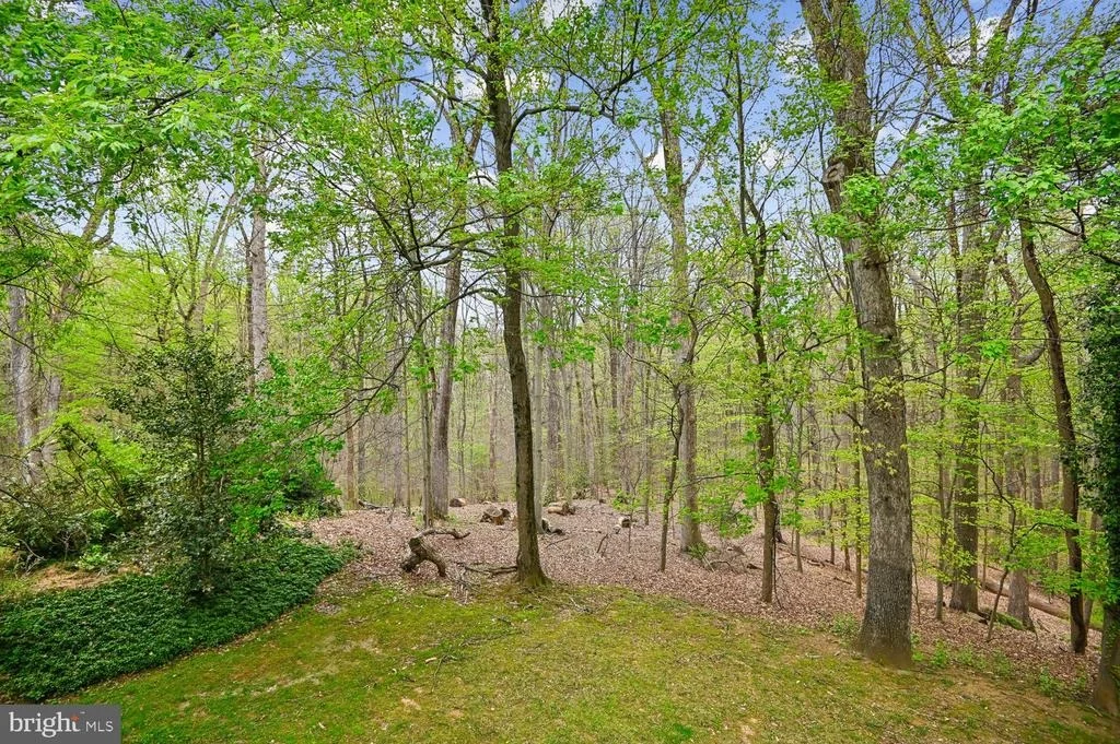 Photo of 10316 BURNT EMBER DRIVE