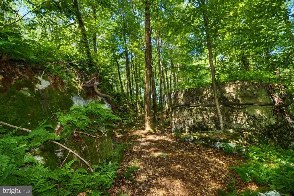 Photo of 94 MOUNTAINTOP ROAD