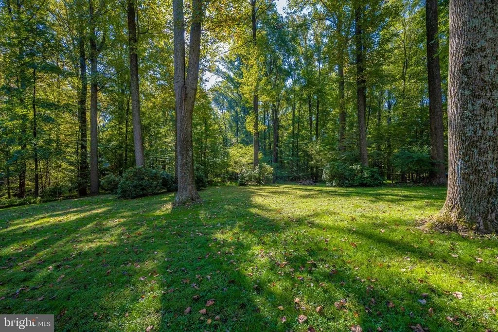 Photo of 18605 BROOKE ROAD