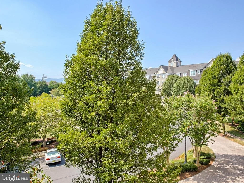 Photo of Unit 313 at 2500 WATERSIDE DRIVE