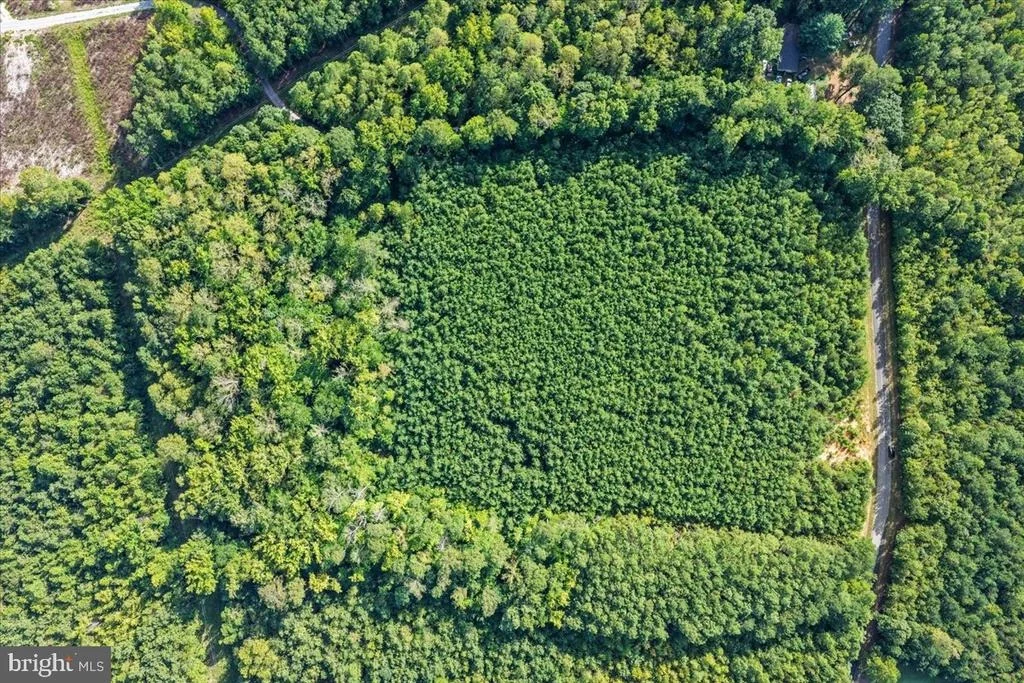 Photo of Lot 7 & 8 COUNTY POND ROAD