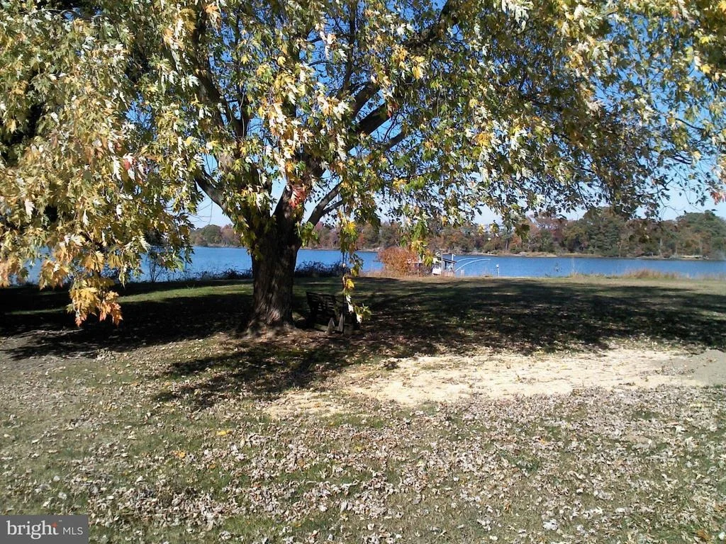 Photo of 44664 SPRINGER ROAD