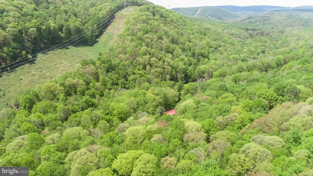 Photo of 259 RESH LANE