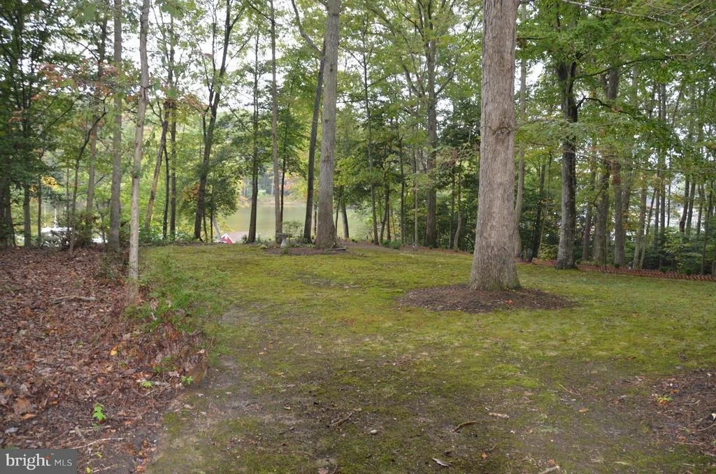 Photo of 12717 BLAIR ROAD