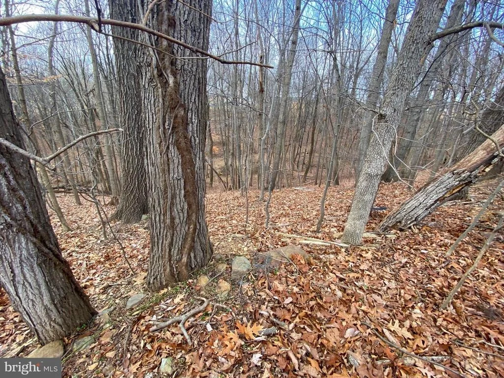 Photo of 2052 HOFFMASTER ROAD